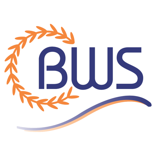 Belize Water Services